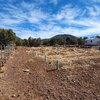 Photo of Mobile Home Lot