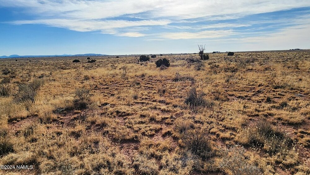 Photo of Mobile Home Lot