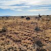 Photo of Mobile Home Lot