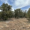 Photo of Mobile Home Lot