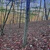 Photo of Mobile Home Lot