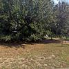 Mobile Home for Sale: 1999 Mobile Home