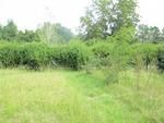 Photo of Mobile Home Lot