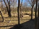 Photo of Mobile Home Lot
