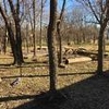 Photo of Mobile Home Lot