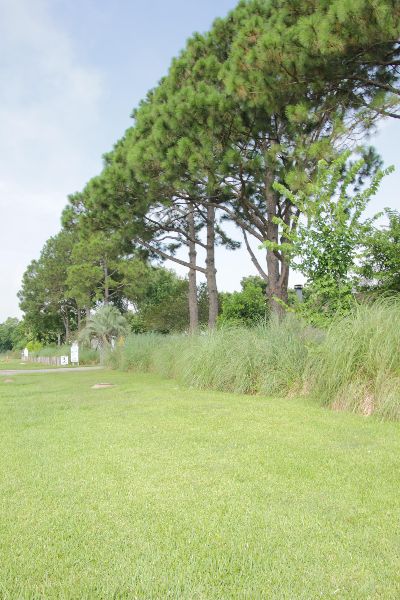 Photo of Mobile Home Lot