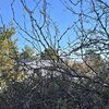 Photo of Mobile Home Lot