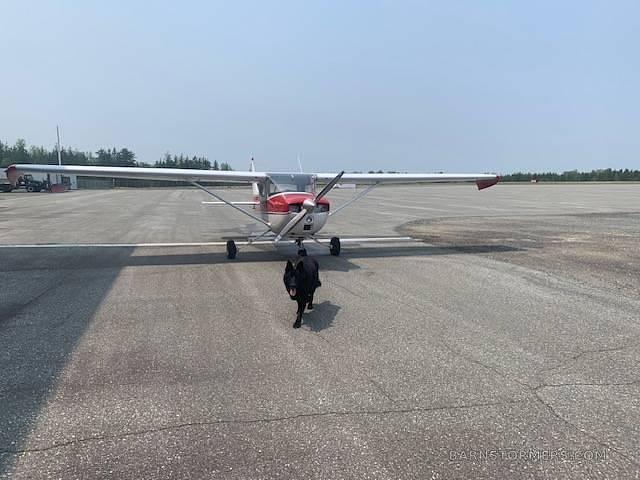 medium_image_2076316_2_1791134572.jpeg