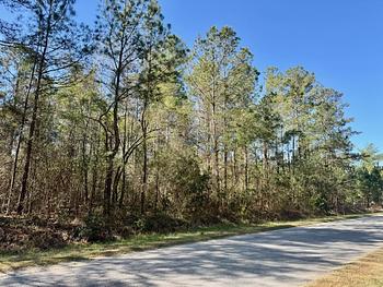 Photo of PERFECT FOR NEW HOME! Nice lot in Orangeburg!