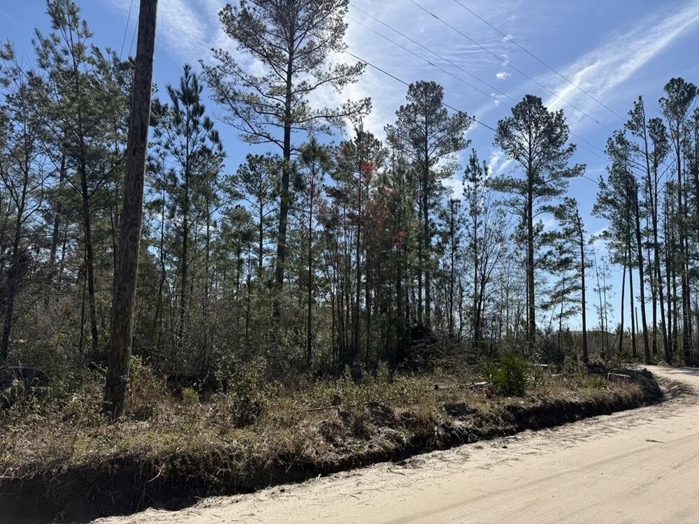 Photo of Mobile Home Lot