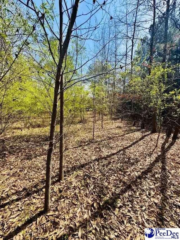 Photo of Mobile Home Lot