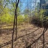 Photo of Mobile Home Lot