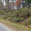 Mobile Home for Sale: 2 Bed 2 Bath 1999 Mobile Home