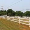 Photo of Mobile Home Park