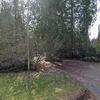 Mobile Home for Sale: 2 Bed 1 Bath 1977 Mobile Home