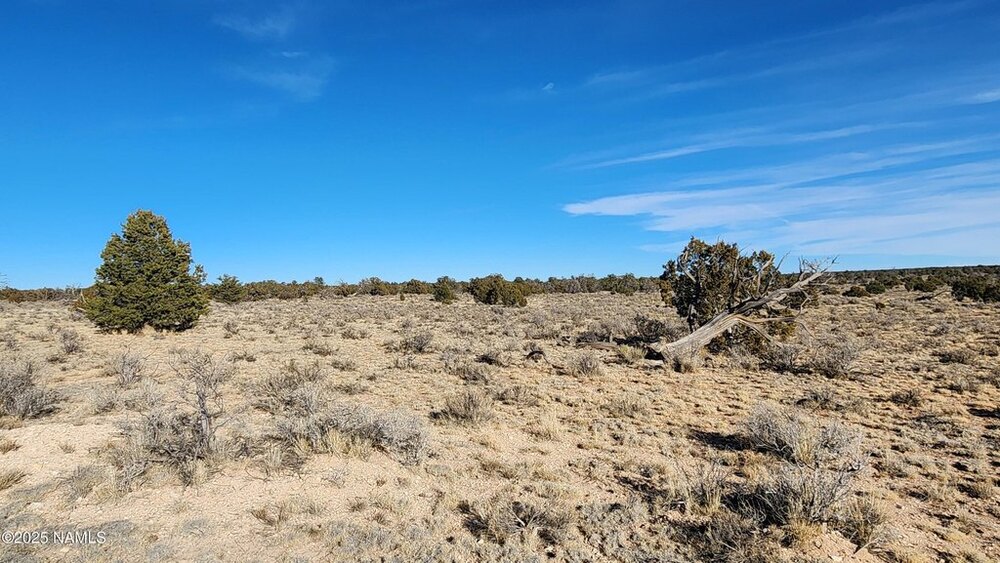 Photo of Mobile Home Lot