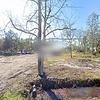 Mobile Home for Sale: 3 Bed 2 Bath 1994 Mobile Home