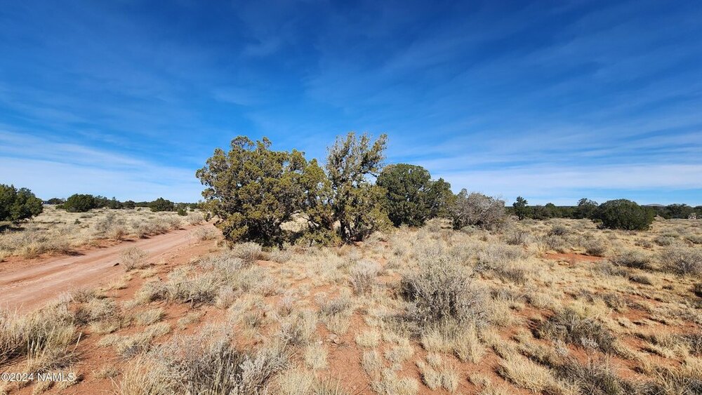 Photo of Mobile Home Lot