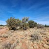 Mobile Home Lot for Sale: Residential/Mobile - Williams, AZ, Williams, AZ