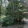 Mobile Home for Sale: 2005 Mobile Home