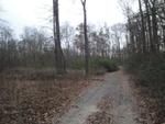 Photo of Mobile Home Lot