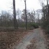 Photo of Mobile Home Lot