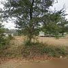 Mobile Home for Sale: 4 Bed 2 Bath 2024 Mobile Home