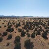 Photo of Mobile Home Lot
