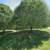 Mobile Home for Sale: 4 Bed 2 Bath Mobile Home