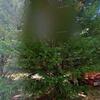 Mobile Home for Sale: 2 Bed 1 Bath 1976 Mobile Home
