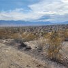 Photo of Mobile Home Lot