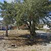 Mobile Home for Sale: 3 Bed 2 Bath 2003 Mobile Home