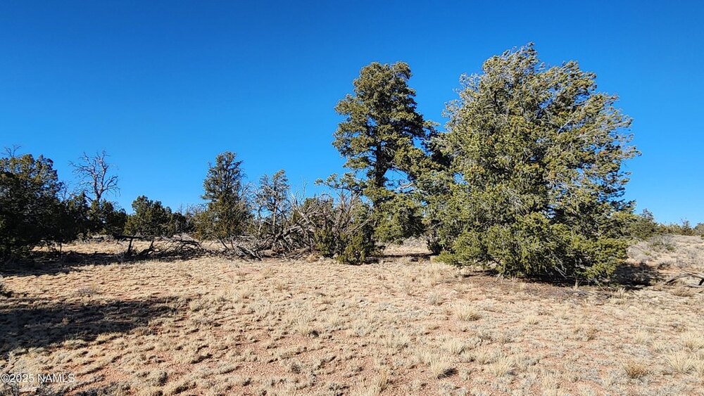 Photo of Mobile Home Lot