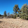 Photo of Mobile Home Lot