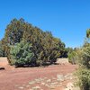 Photo of Mobile Home Lot