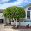 Mobile Home for Sale: Mobile Home, Mobile/Manufactured - Mesa, AZ, Mesa, AZ