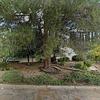 Mobile Home for Sale: 3 Bed 2 Bath 1977 Mobile Home