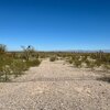 Photo of Mobile Home Lot