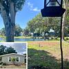 Mobile Home for Sale: Sweet PONDSIDE Turnkey 2 Bed/2 Bath in Desirable Paradise Island!, Largo, FL
