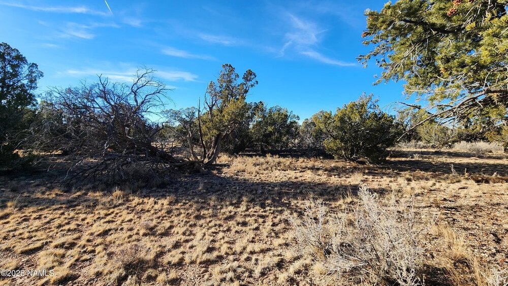 Photo of Mobile Home Lot
