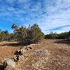 Photo of Mobile Home Lot