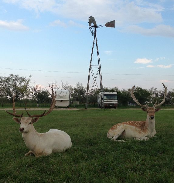 Photo of RV Park/Campground