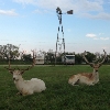 Photo of RV Park/Campground