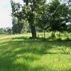 Mobile Home Lot for Sale: 5.15 acre Lot