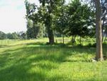 Thumbnail of mobile home lot