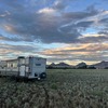 RV for Sale: 2021 SALEM 26DBUD