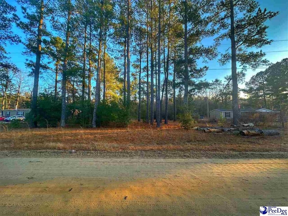 Photo of Mobile Home Lot