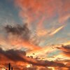 Photo of Mobile Home Lot
