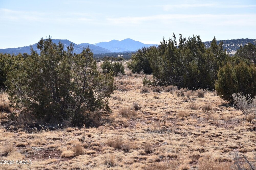 Photo of Mobile Home Lot
