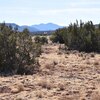 Photo of Mobile Home Lot